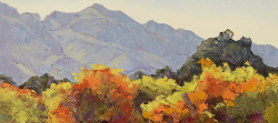 Autumn Vines - Robertson District | 2019 | Oil on Canvas | 46 x 62 cm